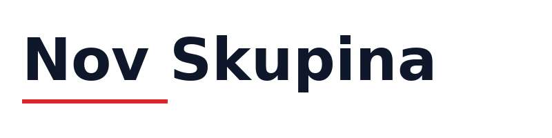 Nov Skupina logo